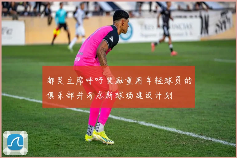 都灵主席呼吁奖励重用年轻球员的俱乐部并考虑新球场建设计划