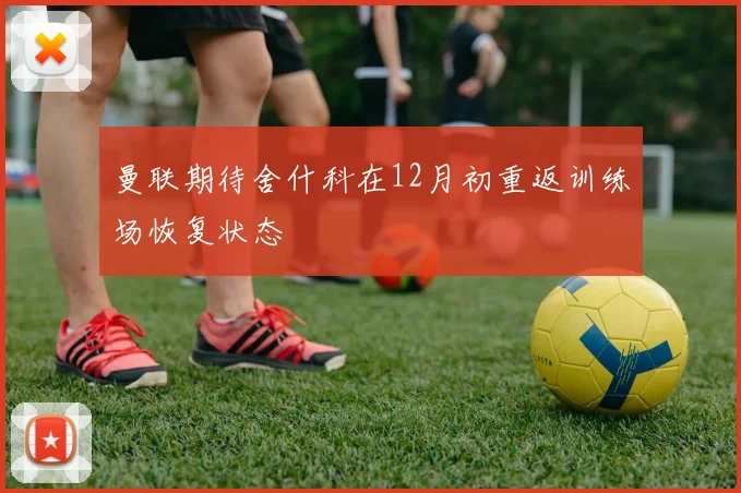 曼联期待舍什科在12月初重返训练场恢复状态